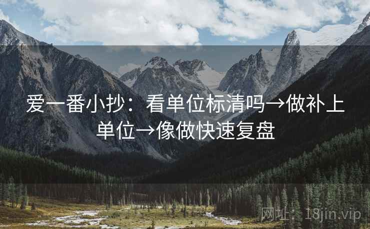 爱一番小抄：看单位标清吗→做补上单位→像做快速复盘  第2张