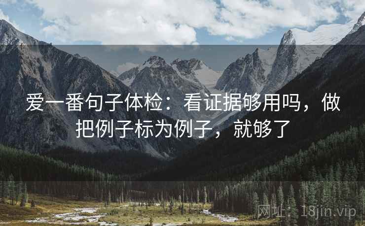 爱一番句子体检：看证据够用吗，做把例子标为例子，就够了  第2张