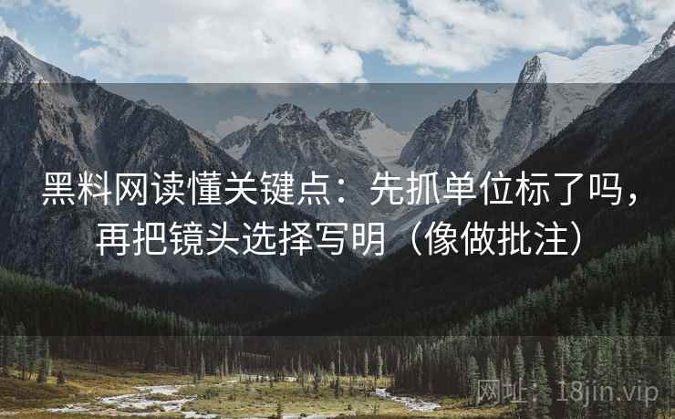 黑料网读懂关键点:先抓单位标了吗,再把镜头选择写明(像做批注)